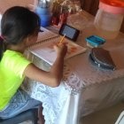 En un sector rural del cantón Palenque, Carmen, de 17 años, se conecta a clases a través del teléfono de sus padres.