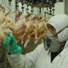 La calidad es clave, por eso el control de la temperatura.