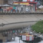 En Guayaquil durante la pandemia, a decir de los consultados, decenas de recipientes fueron lanzados a las calles por temor al contagio, lo que ayudó a que el insecto se reproduzca en enormes cantidades y no solo en parques y zanjas, sino en todo el barrio.