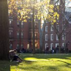 Una estudiante lee bajo un árbol en el campus de la universidad de Harvard en Cambridge.