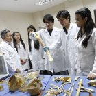 Los estudiantes de las carreras de Salud deberán plasmar en un examen lo que han aprendido en sus años de estudios.

Facultad de Medicina, de la Univ.de Guayaquil,14 de febrero del 2017, AMELIA ANDRADE, Guayaquil-Ecuador

Agencia (ag-expreso)