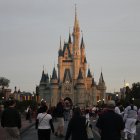 Magic Kingdom y Animal Kingdom reabren al público general este sábado.