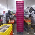 El 66% de la oferta ecuatoriana se va a Asia. Europa y Estados Unidos siguen en la lista de mercados de importacia.