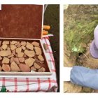 Un técnico del INPC visitó el sitio del hallazgo arqueológico y recolectó frangmentos de objetos como platos, torteros y otros.