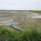En la zona de Barbones, El Guabo, algunas hectáreas no se han vuelto a sembrar. Pasa igual en el Golfo de Guayaquil y Manabí.