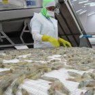 El 64% de la oferta exportable ecuatoriana va al mercado chino.