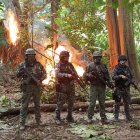 Miembros de Fuerzas Armadas localizaron y destruyeron un laboratorio de procesamiento de drogas en Sucumbíos.