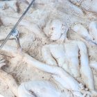 Un aspecto de la nueva obra de Fabricio Valverde, Raíces de Luz Eterna.