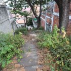 Situación. Las escalinatas de la calle Guayacanes lucen con maleza y presentan desaseo.