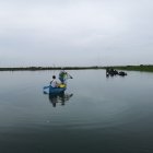 El camaròn de Ecuador bajò de precio.