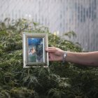 WASHINGTON. La revista National Geographic, informó que Buddy murió después de mostrar síntomas aparentemente similares a los de muchos humanos que padecen la enfermedad.