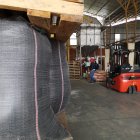 La semilla se produce en la planta de Semimor.