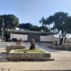 Árboles de la Facultad de Arquitectura fueron talados.