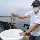 Ecuador sigue exportando camarón.