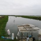 Muchas piscinas camaroneras fueron cerradas por los bajos precios.