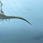 Vectaerovenator inopinatus era pariente de los Tiranosaurios Rex y de aves modernas.