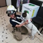 Personal. La unidad estará conformada por personal de bomberos voluntarios y rentados de la División de Rescate.