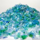 Los científicos encontraron diferentes tipos de microplástico en el organismo, incluyendo el PET utilizado en las botellas de plástico.