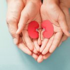 El cuidado de los riñones debe empezar desde la infancia.