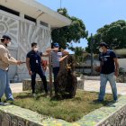 El Municipio realizó un expediente administrativo por la tala de árboles en la Universidad de Guayaquil.