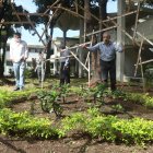 En la facultad de Arquitectura se están sembrando plantas en cuatro jardineras, para remediar el daño causado por la tala de árboles.