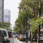 Avenida 9 de Octubre. Este es el panorama en varios tramos: semáforos, letreros y señales que no se ven a causa de la copa de los árboles o sus ramas.