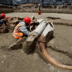 CIUDAD DE MÉXICO. Especialistas del Instituto Nacional de Antropología e Historia (INAH) trabajanen el sitio donde fueron hallados un número importante de restos de Mamut.