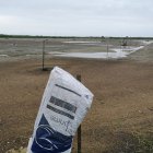 Muchos camaroneros abandonaron sus piscinas.