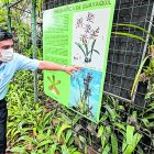 Flora. Boris Briones, director técnico del Jardín, muestra la orquídea que representa a Guayaquil.