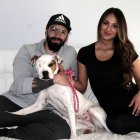 La perrita perdió uno de sus ojos como consecuencia del ataque.