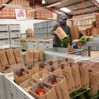 Las florícolas del país registran millonarias pérdidas tras la pandemia. Ahora esperan que EE.UU. concrete para el sector una ayuda arancelaria.