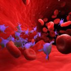 Cuando una persona contrae el covid-19, su cuerpo produce anticuerpos que se concentran en el plasma, la parte líquida de la sangre.