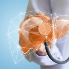 Un hígado sano es de color oscuro, y en adultos pesa entre 3 y 4 libras.