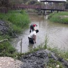 Los comuneros hicieron una minga a finales de agosto en el estanque de los cocodrilos.