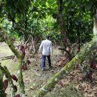 Empresas multinacionales han comprado propiedades en Ecuador.