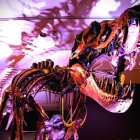 Una imagen del tiranosaurio rex a ser subastado. Tiene una antigüedad de 67 millones de años.