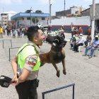 Los perros adiestrados de la Policía Nacional brindaron un espectáculo en el barrio Garay.