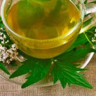 El té de valeriana debe tomarse tibio y preferentemente 30 minutos antes de acostarse.