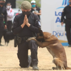 En la jornada, llevada a cabo esta semana, los agentes mostraron lo hábiles que son los canes que conviven con ellos.