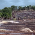 Así se visualiza la tala de 40 hectáreas de manglar en el Golfo de Guayaquil.
