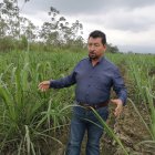 José Vásquez, presidente de los cañicultores de Milagro.