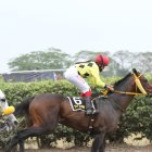 Ycaza sobre el lomo de Son Da Vino, uno de sus fieles corceles. Ha ganado 9 carreras con él.