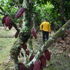 La situación del sector mejoró este año.