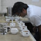 SICA realiza la cata del café que produce.