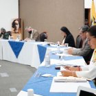 El pleno del CNE analiza los informes de las áreas técnicas para la calificación de las candidaturas para febrero de 2020.