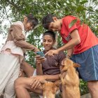 El internet gratuito llegó a Río Limón, un asentamiento de indígenas shuar que migraron desde la Amazonía hace unos 70 años.