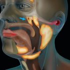 Para confirmar el descubrimiento, los expertos dicen que necesitarán expandir y diversificar su muestreo.