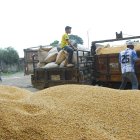 Todavía no sale toda la cosecha de verano.