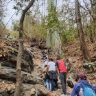 Un grupo de turistas realiza una excursión al cerro El Paraíso, en medio de Guayaquil.