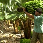 El Estado calcula que se podrán incrementar en 12.8% las exportaciones del país gracias al acuerdo.